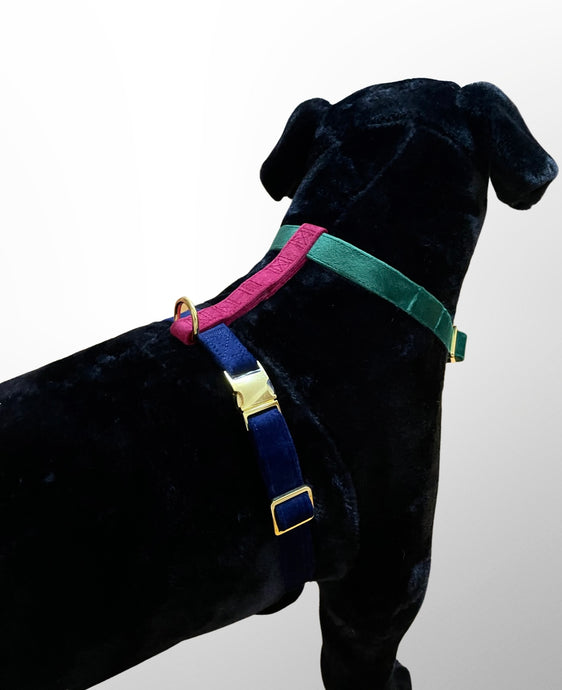 Luxury Velvet Dog Harnas™ - Luxe en Unieke Velvet Hondentuig