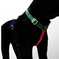 Luxury Velvet Dog Harnas™ - Luxe en Unieke Velvet Hondentuig