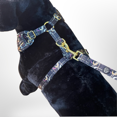 Made-to-Match Dog Set™ - Moderne Hondentuig en Bijpassende Riem Set