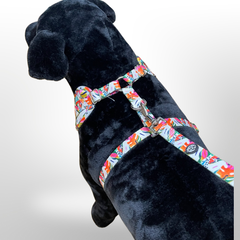 Made-to-Match Dog Set™ - Moderne Hondentuig en Bijpassende Riem Set