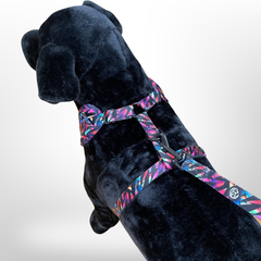 Made-to-Match Dog Set™ - Moderne Hondentuig en Bijpassende Riem Set